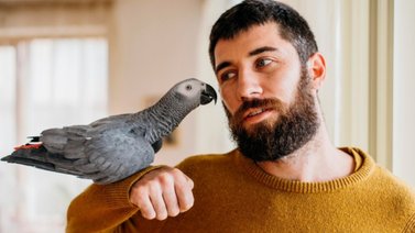 Nada de gatos o hámster: a los de Géminis les va bien una mascota emplumada