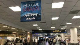 Conoce las normas del aeropuerto de Miami para viajar con mascotas 
