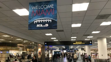 Conoce las normas del aeropuerto de Miami para viajar con mascotas 