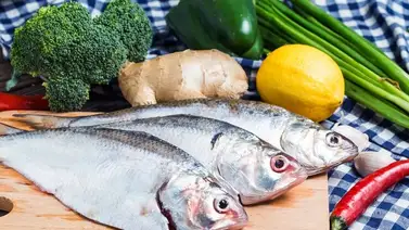 Y te alcanza para las empanadas: un exquisito guiso de jurel barato y con pocos ingredientes Y te alcanza para las empanadas: un exquisito guiso de jurel barato y con pocos ingredientes