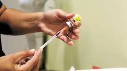 Para contener la propagación del virus: Colombia declara la emergencia sanitaria por fiebre amarilla