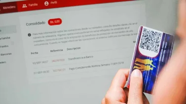Sistema Patria: estos son los bonos que faltan por pagar a los funcionarios públicos en abril