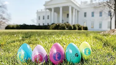 Trump invita a la búsqueda de huevos de Pascua en la Casa Blanca: ¿Serán de plástico? Trump invita a la búsqueda de huevos de Pascua en la Casa Blanca: ¿Serán de plástico?