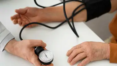 ¿El brócoli baja la presión arterial? Esto dice la ciencia ¿El brócoli baja la presión arterial? Esto dice la ciencia