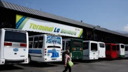 Cuatro requisitos para viajar con mascotas desde el Terminal La Bandera: incluye un documento emitido por un veterinario