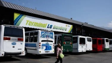 Cuatro requisitos para viajar con mascotas desde el Terminal La Bandera: incluye un documento emitido por un veterinario