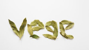 Atrae abundancia y prosperidad: así se usa la hoja de laurel en el Feng Shui