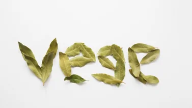 Atrae abundancia y prosperidad: así se usa la hoja de laurel en el Feng Shui
