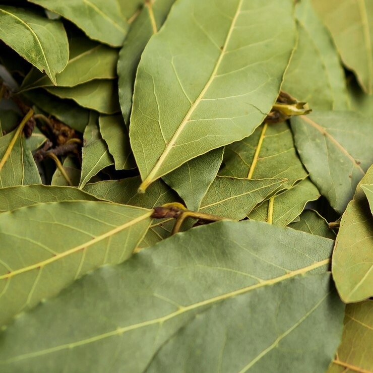 Atrae abundancia y prosperidad: así se usa la hoja de laurel en el Feng Shui Atrae abundancia y prosperidad: así se usa la hoja de laurel en el Feng Shui