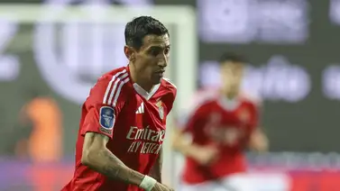 Benfica y Sporting buscarán el pase a la final de la Copa de Portugal Benfica y Sporting buscarán el pase a la final de la Copa de Portugal