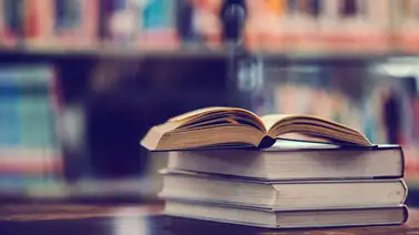 2001ONLINE - GLOBAL - DÍA DEL LIBRO 2001ONLINE - GLOBAL - DÍA DEL LIBRO