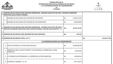 SEGUROS LA FE MS-02  24 ABR 2025