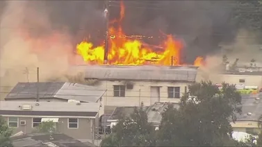 En video: reportan múltiples víctimas tras incendio en una vivienda en Florida