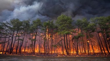 incendio nueva jersey calidad del aire humo