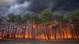 incendio nueva jersey calidad del aire humo