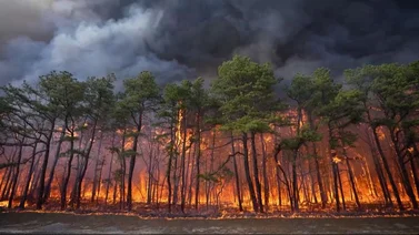 incendio nueva jersey calidad del aire humo