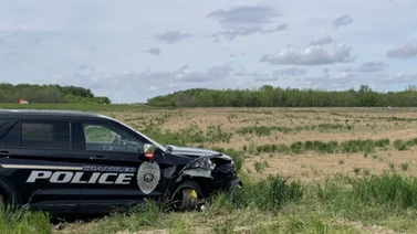 Mujer ataca a policía con una espada y roba su patrulla: la detienen tras intensa persecución