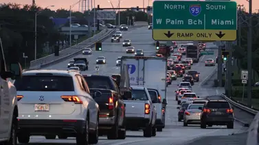 inmigrantes ilegales florida wyoming estados unidos cartel licencias inmigrantes ilegales florida wyoming estados unidos cartel licencias