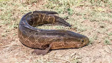 2001online-USA-USA 2001online-USA-USA