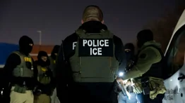 2001ONLINE - ESTADOS UNIDOS - ICE