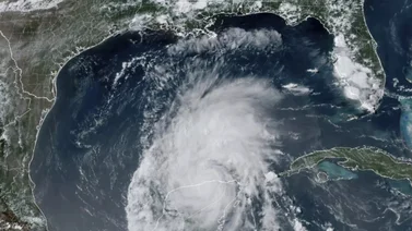 Texas elimina impuestos para productos de emergencia para huracanes: estos aplican