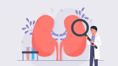 Entérate de cuál es el mejor jugo natural para evitar los cálculos renales Entérate de cuál es el mejor jugo natural para evitar los cálculos renales