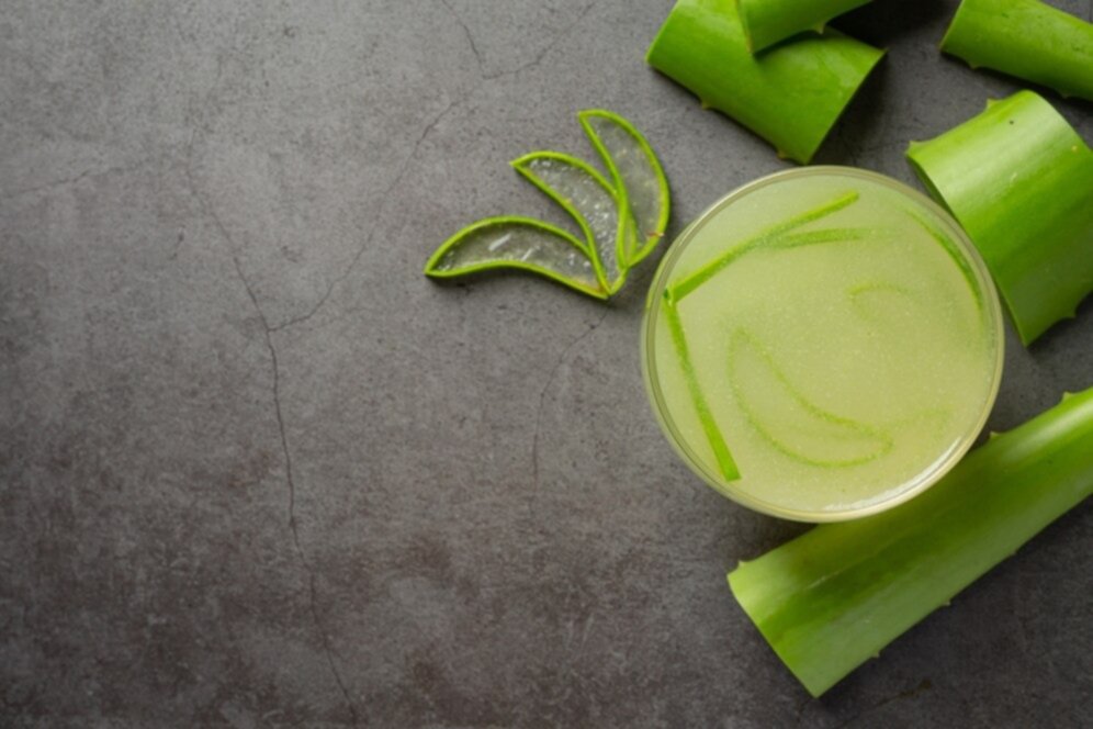 Hidrata la piel con una crema natural a base de patilla y aloe vera: aprende a prepararla Hidrata la piel con una crema natural a base de patilla y aloe vera: aprende a prepararla