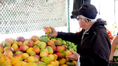 2001online - Caracas- mango 2001online - Caracas- mango