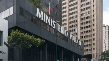 Fiscalía imputará a un hombre por maltrato animal en Caracas: le ocasionó lesiones graves a un gato