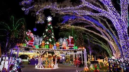 En este condado de Florida es Navidad todo el año: hay un ambiente festivo los 365 días
