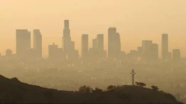 2001online - USA- contaminación