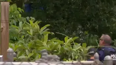 Inmigrante se trepa a un árbol en Texas para evitar la deportación: enfrenta cargos por reingreso ilegal Inmigrante se trepa a un árbol en Texas para evitar la deportación: enfrenta cargos por reingreso ilegal