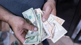 Pagos en el monedero Patria: bonos y montos activos este 30 abril
