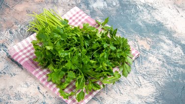 Ni en plástico ni en aluminio: cómo conservar el cilantro fresco
