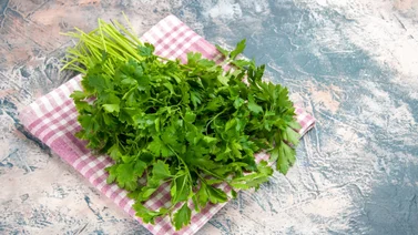 Ni en plástico ni en aluminio: cómo conservar el cilantro fresco