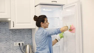No más mal olor: formas de limpiar tu congelador como un profesional