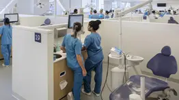¿Sin seguro dental en Nueva York? Estas universidades ofrecen limpiezas y extracciones desde $10