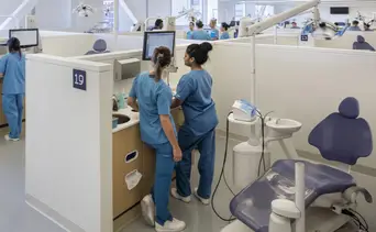 ¿Sin seguro dental en Nueva York? Estas universidades ofrecen limpiezas y extracciones desde $10