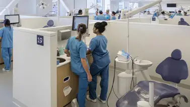 ¿Sin seguro dental en Nueva York? Estas universidades ofrecen limpiezas y extracciones desde $10 ¿Sin seguro dental en Nueva York? Estas universidades ofrecen limpiezas y extracciones desde $10
