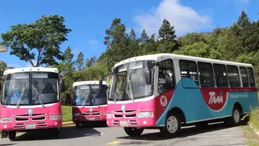 Rutas playeras y religiosas: TransMiranda movilizará a temporadistas desde este jueves 2 de abril Rutas playeras y religiosas: TransMiranda movilizará a temporadistas desde este jueves 2 de abril