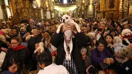 ¿Llevarás a tu mascota? Este arzobispo bendecirá a los animales este sábado en Los Ángeles