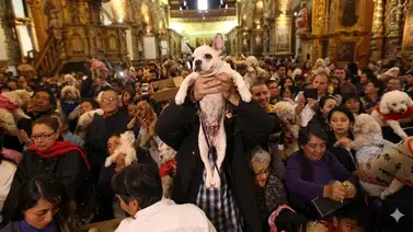 ¿Llevarás a tu mascota? Este arzobispo bendecirá a los animales este sábado en Los Ángeles ¿Llevarás a tu mascota? Este arzobispo bendecirá a los animales este sábado en Los Ángeles