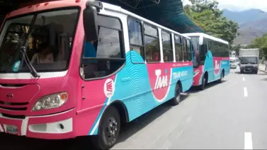 Sistema TransMiranda extiende su ruta que sale desde los Valles del Tuy: detalles Sistema TransMiranda extiende su ruta que sale desde los Valles del Tuy: detalles