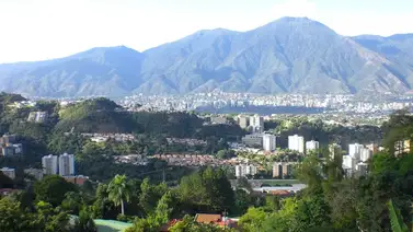 El 40% de Caracas tiene zonas verdes: sepa qué se considera un "pulmón urbano" El 40% de Caracas tiene zonas verdes: sepa qué se considera un "pulmón urbano"
