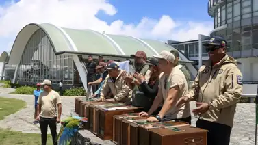 Centro de Conservación Ex Situ de Rescate, Rehabilitación y Zoocriadero Ecogreen & Vida Centro de Conservación Ex Situ de Rescate, Rehabilitación y Zoocriadero Ecogreen & Vida