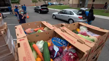 Comida gratis en Florida: puntos de distribución y horarios para este viernes 10 de Abril Comida gratis en Florida: puntos de distribución y horarios para este viernes 10 de Abril