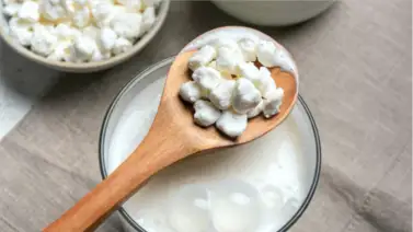 El kéfir y su poder para transformar la salud digestiva: el "oro blanco" de la nutrición El kéfir y su poder para transformar la salud digestiva: el "oro blanco" de la nutrición