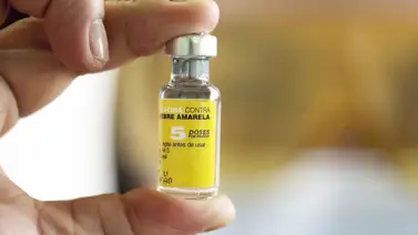 Inicia despliegue de vacunación contra la fiebre amarilla: 390 puntos en estos estados Inicia despliegue de vacunación contra la fiebre amarilla: 390 puntos en estos estados