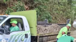 En imágenes: intensas lluvias provocan caídas de árboles en diversas zonas de Baruta