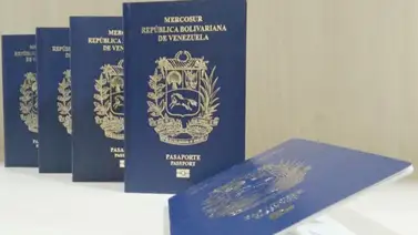 El Consulado de Venezuela en Panamá entrega nuevos pasaportes: activan jornada este 15 y 16 de abril El Consulado de Venezuela en Panamá entrega nuevos pasaportes: activan jornada este 15 y 16 de abril